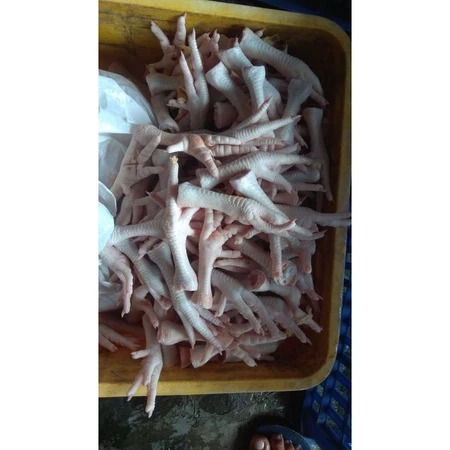 

CEKER / KAKI AYAM FRESH ( dengan kuku )