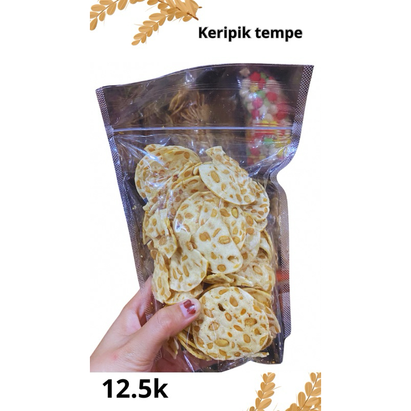 

Snack keripik tempe