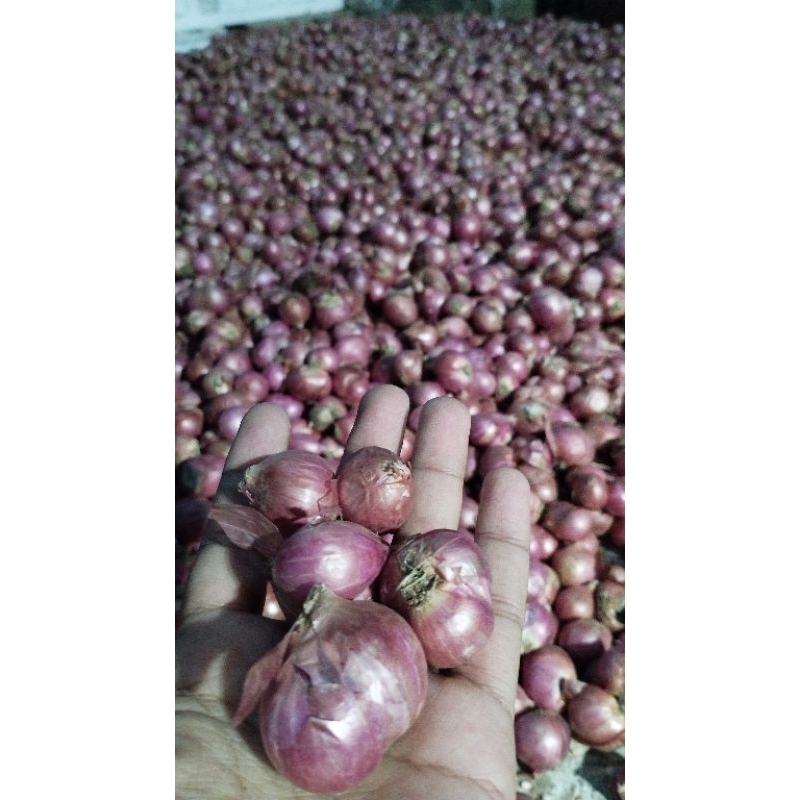 

bawang merah lokal nganjuk 1kg bersih fresh