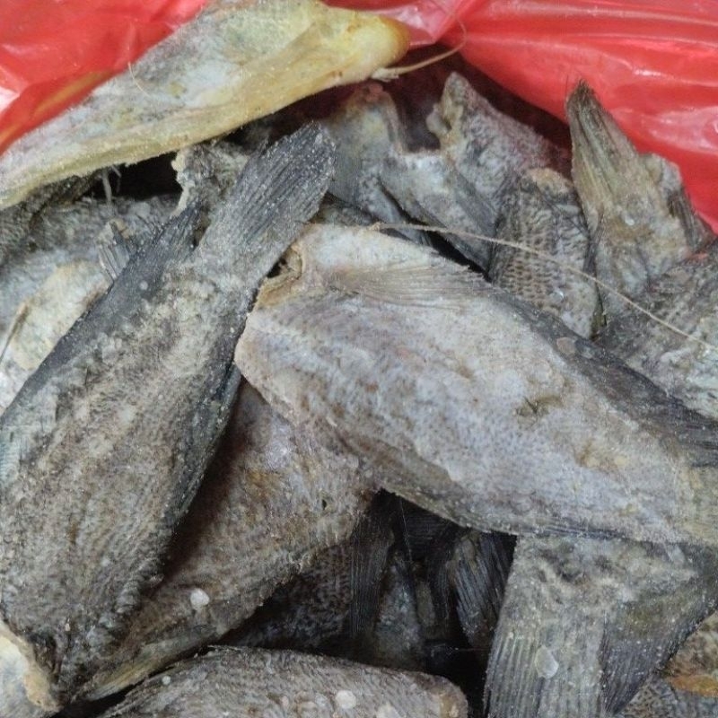 

ikan asin sepat.250grm.20,000