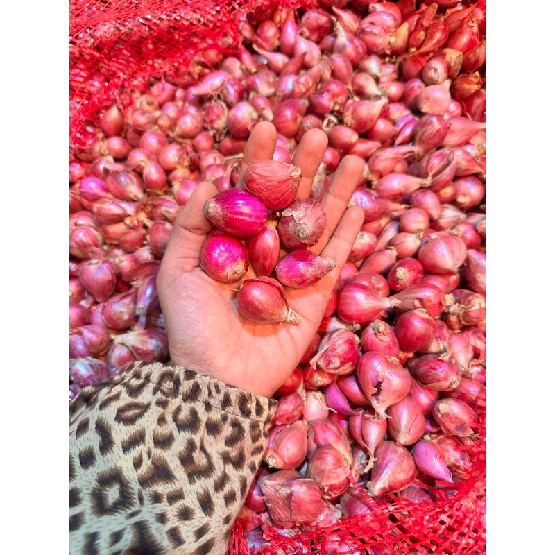

Anakbawang75 Bawang Merah Campur 5 Kilo Grosir