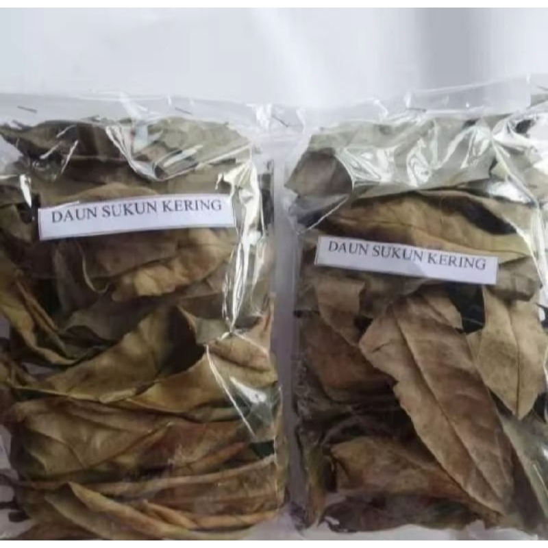 

Daun sukun kering obat herbal alami menurunkan asam urat/menurunkan kolesterol/menjaga jantung/gangguan ginjal/panu 250gr