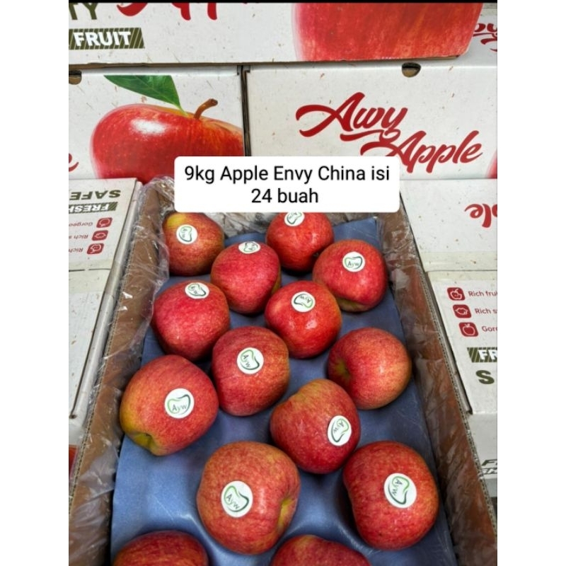 

buah Apple Envy China 1 dus 9kg