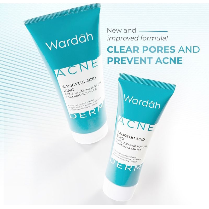 WARDAH ACNEDERM FOAMING CLEANSER