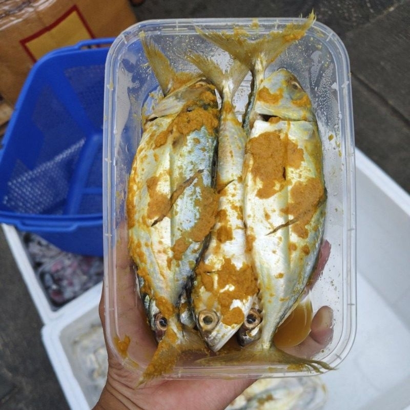 

Kembung marinasi | ikan kembung Marinasi