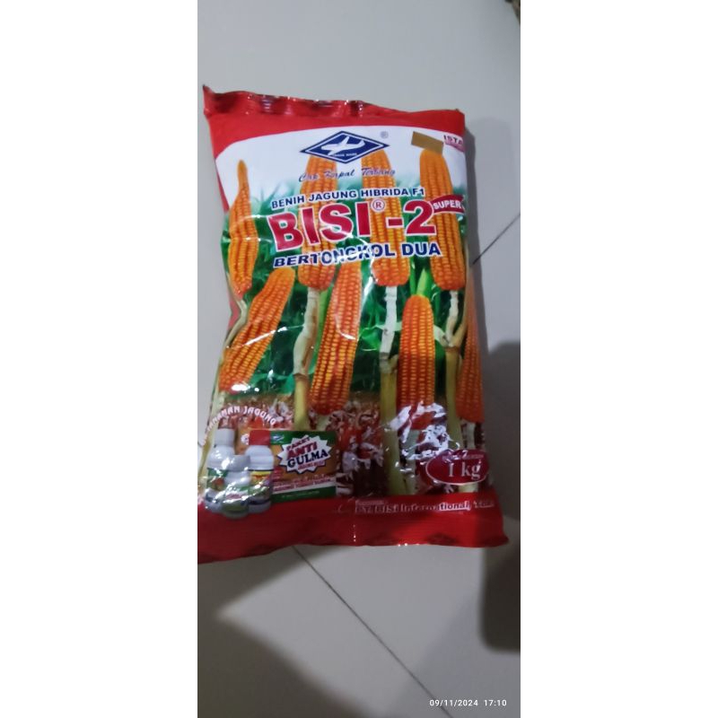 

Jagung Bisi 2