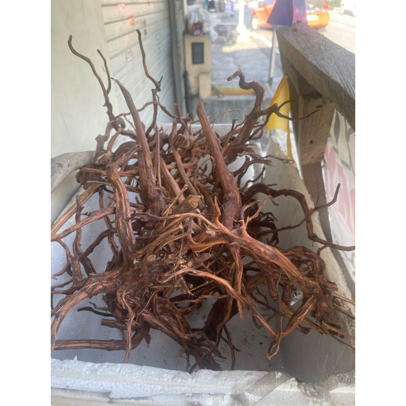 Akar Rasamala M akar kayu aquascape