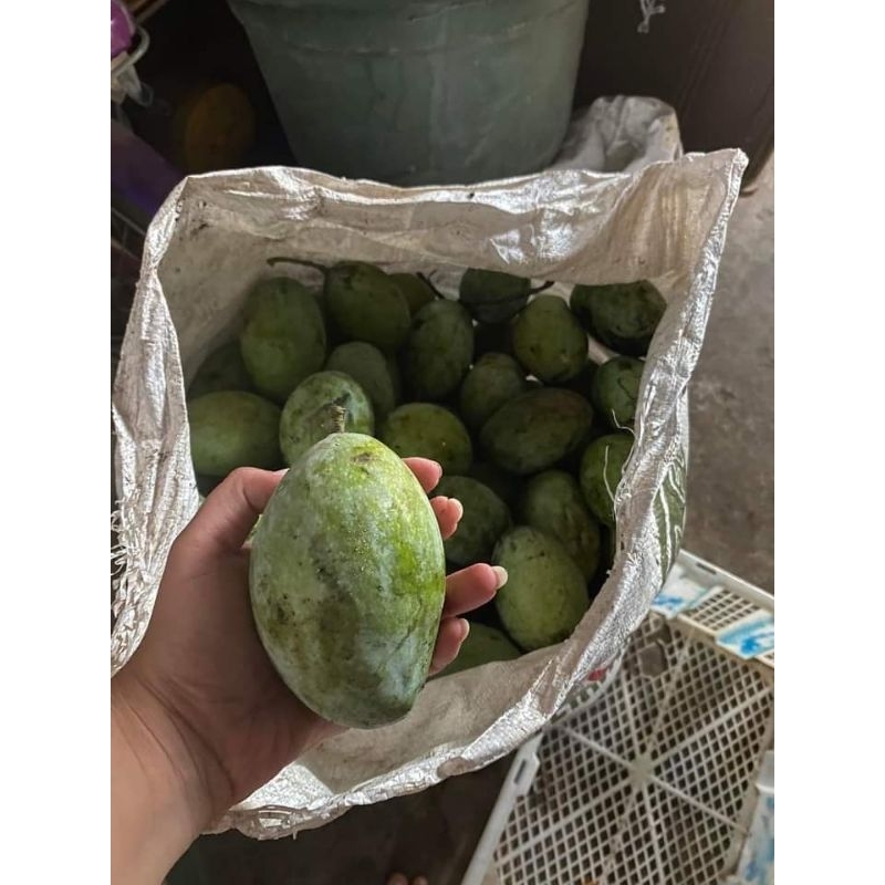 

mangga manalagi