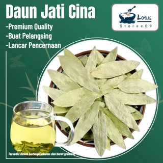 

Daun Jati Cina / Daun Senna untuk pelangsing 10g/50g/100g/fan xie ye/番泻叶