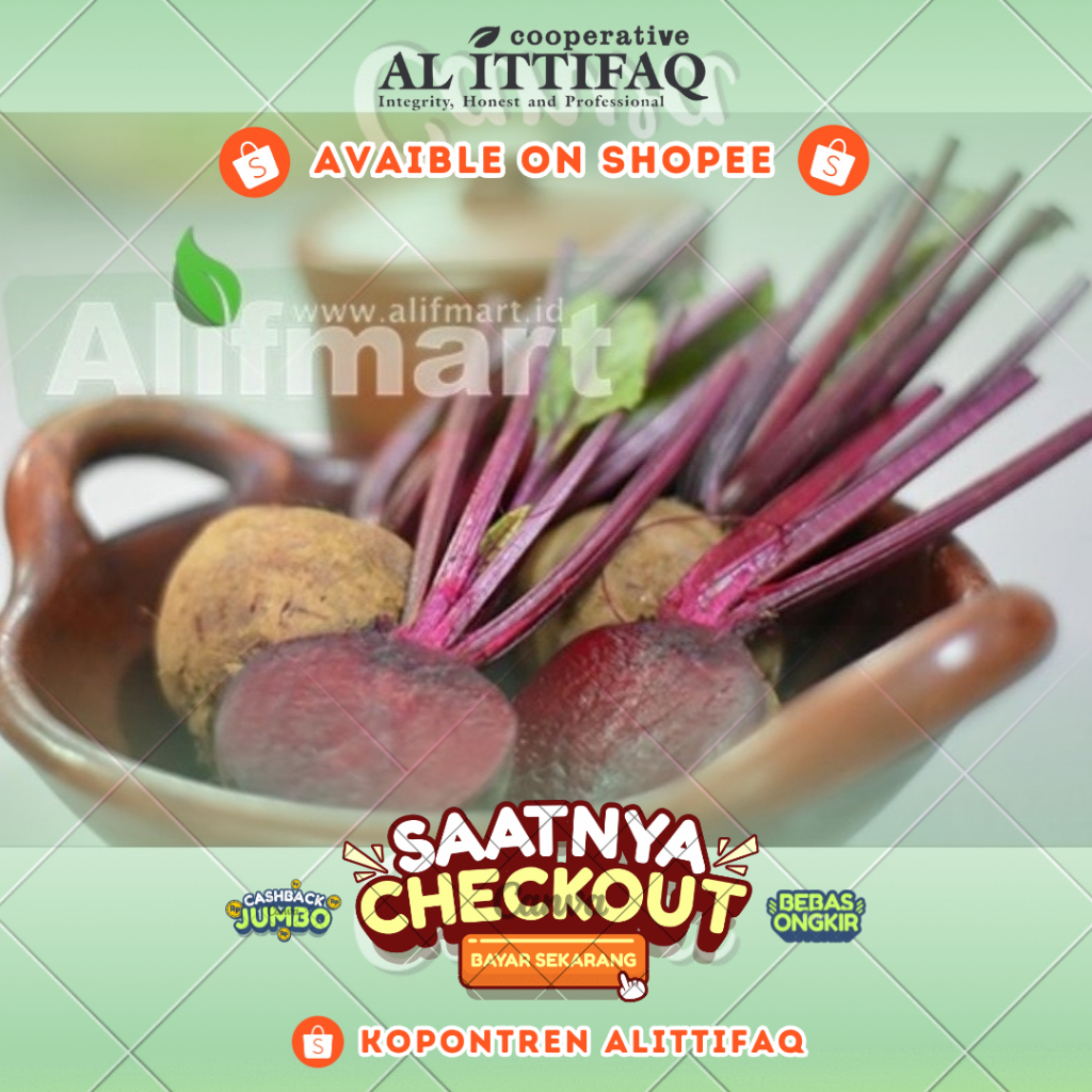 

Buah Beet Segar 1kg/500gr Murah Berkualitas Terbaik Kopontren Al Ittifaq Bandung