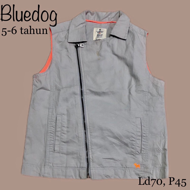 Preloved/Thrift Vest anak Bluedog