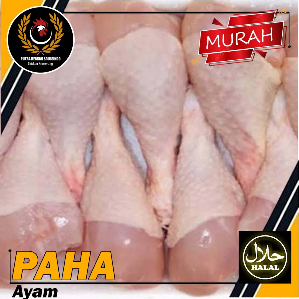 

Paha Bawah Ayam Fresh Murah