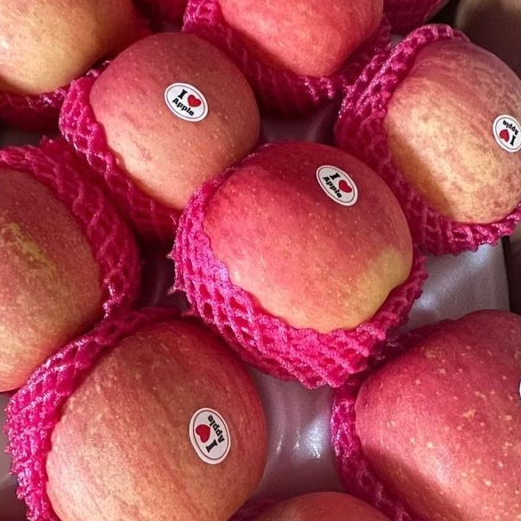 

Buah Apel Merah Fuji Premium