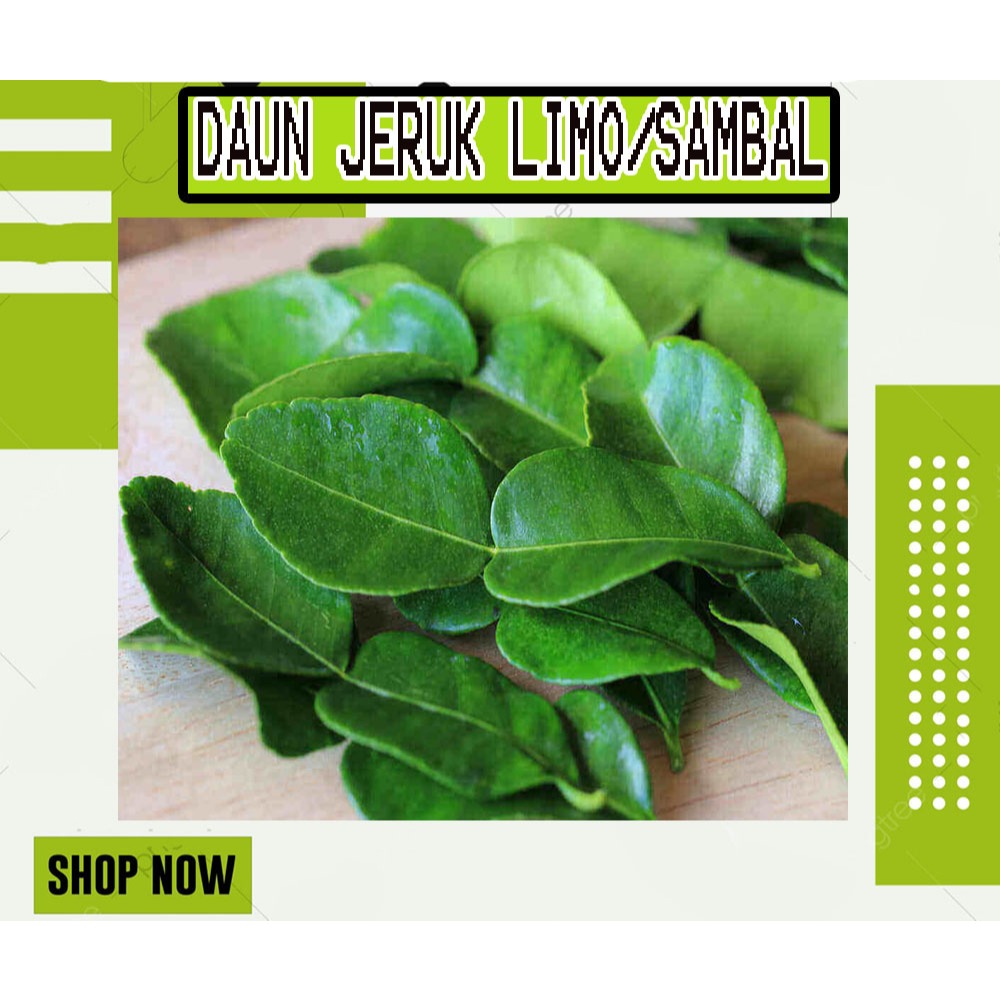 

DAUN JERUK LIMO JERUK SAMBAL DAUN SAMBAL TERSEDIA 100GRAM - 500GRAM