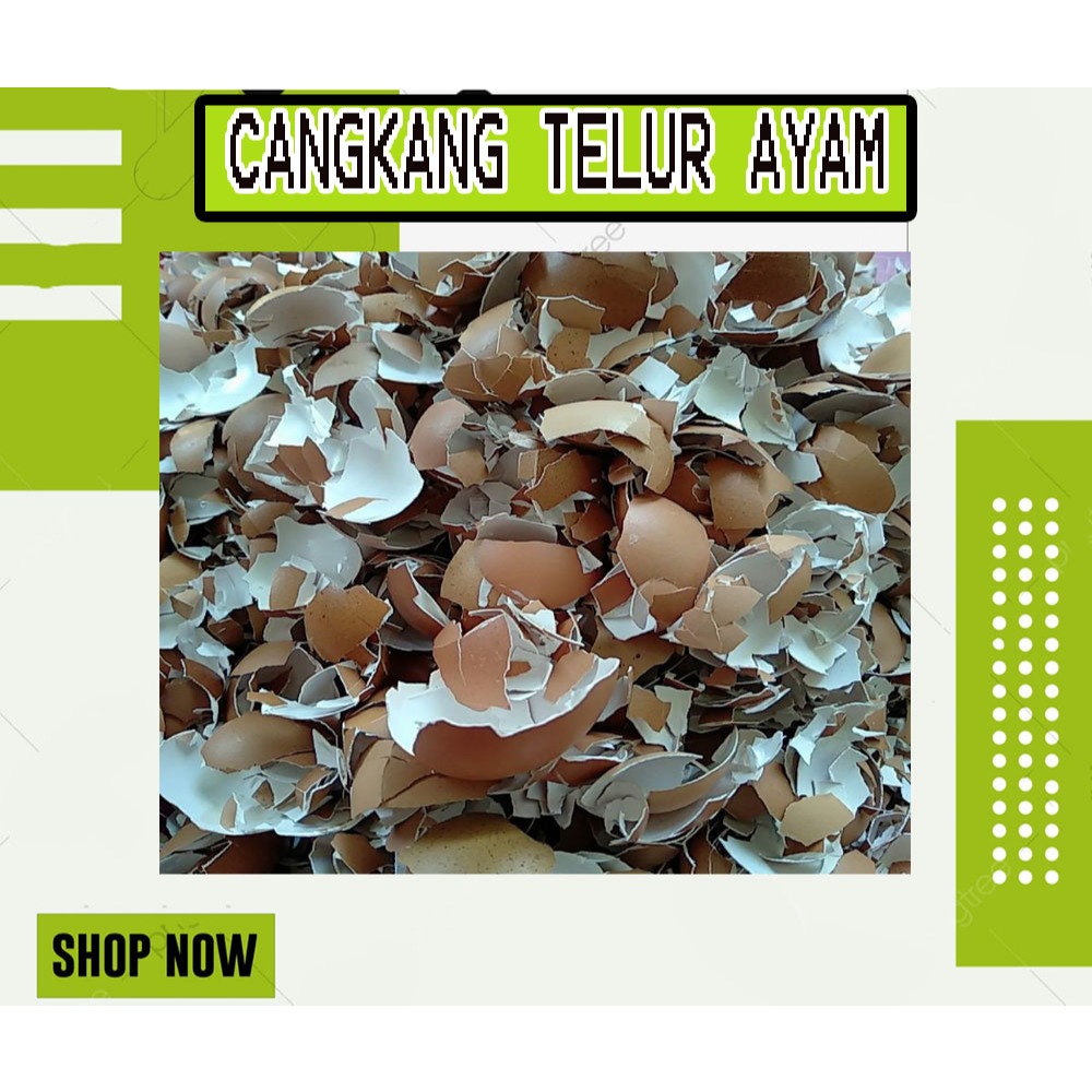 

CANGKANG KULIT TELUR AYAM 1KG BERSIH
