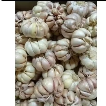 

bawang putih super