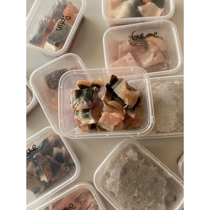 

Ikan Lele Fillet Box Cocok Untuk MPASI Anak Porsi Pas