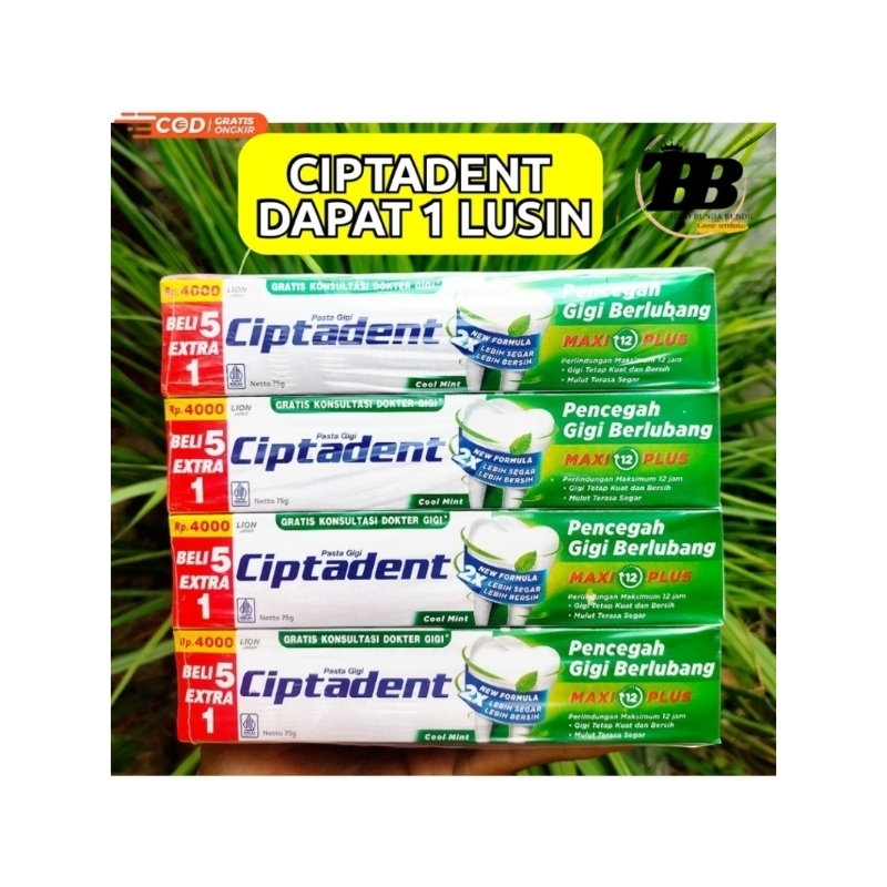 CIPTADENT 75g 1 LUSIN [12 pcs] | PASTA GIGI CIPTADENT 75g | ODOL CIPTADENT 75g | PASTA GIGI CIPTADEN
