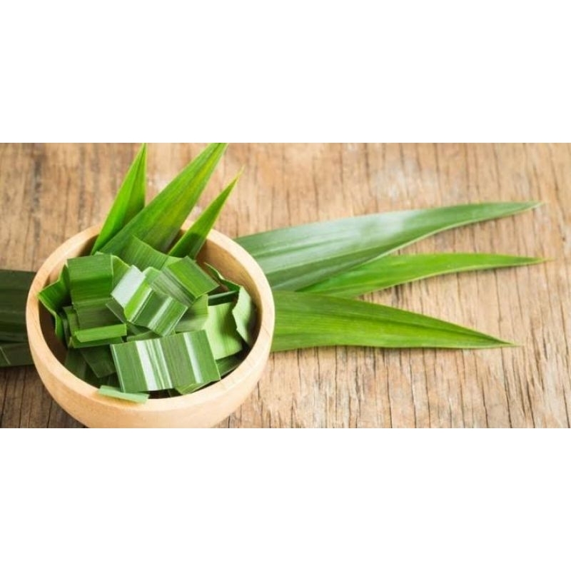 

Daun Pandan Wangi 250 Gr Fress Baru Di Petik