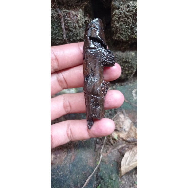 bambu petuk