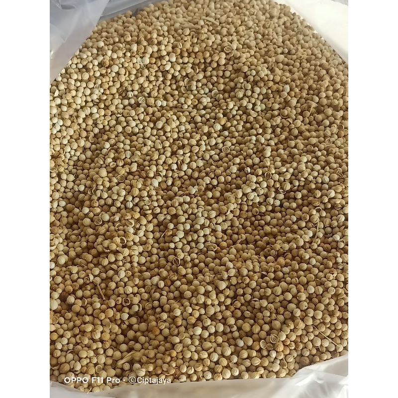 

KETUMBAR 100gr BUMBU MASAK