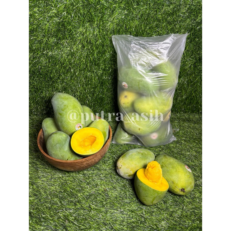 

Mangga Sekantong ( Arum Manis )