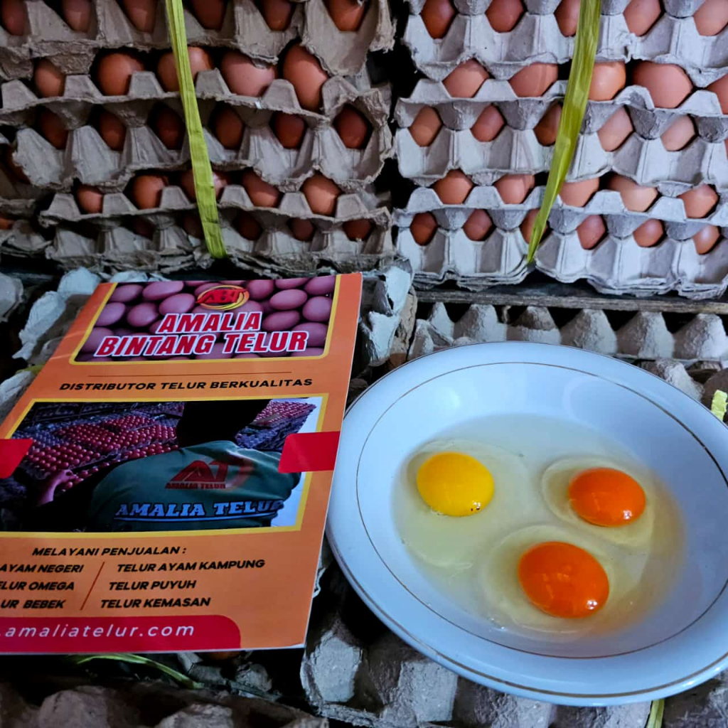 

GRA Telur Omega 3 Segar Isi 30 Butir Garansi