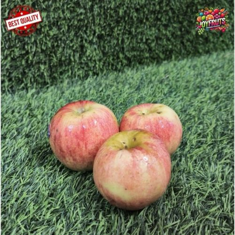 

Apel Fuji Impor 500-1000g