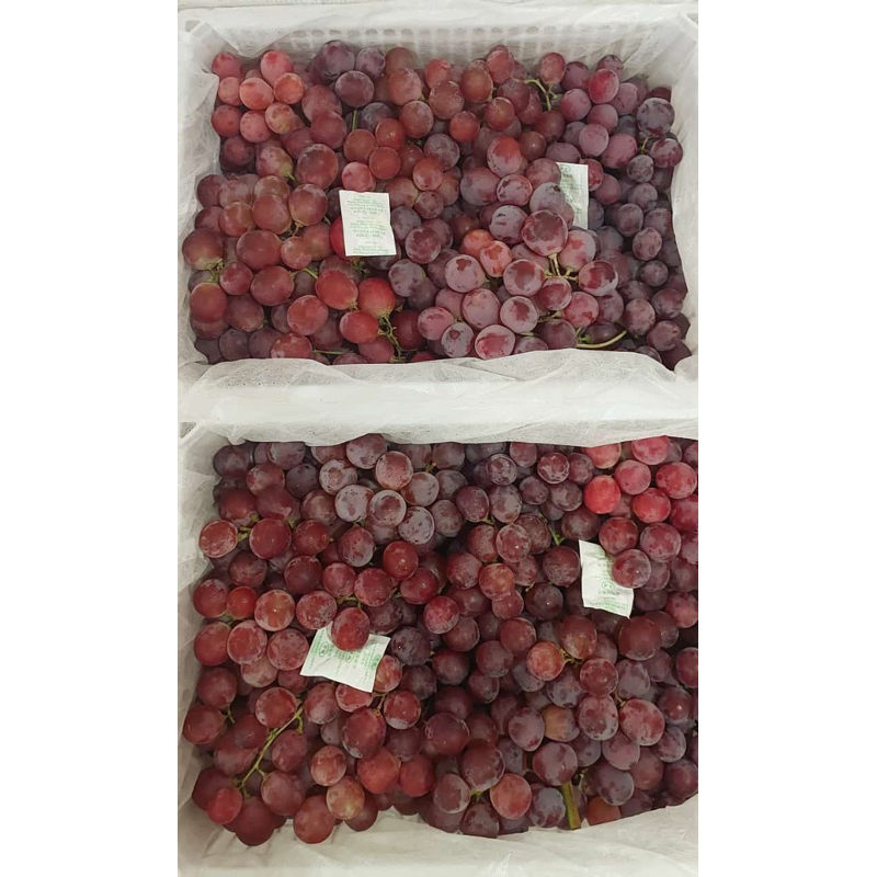 

anggur red globe 1kg
