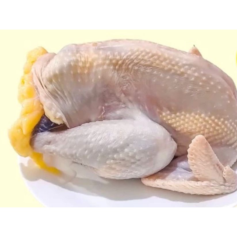 

Ayam Kampung Premium