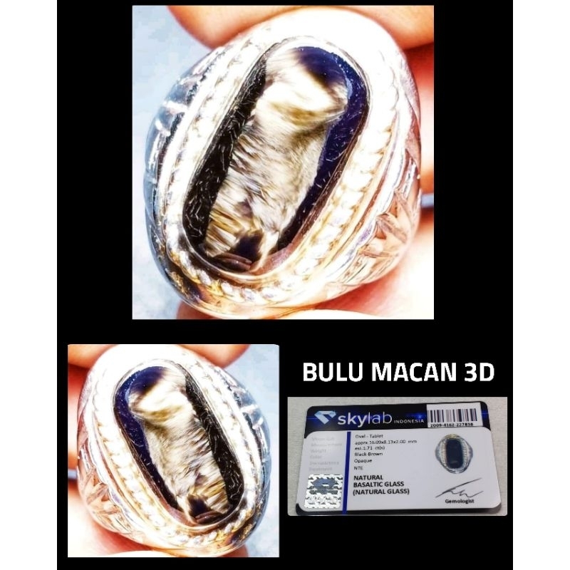 NATURAL BATU BULU MACAN 3D ASLI LUMAJANG INDONESIA