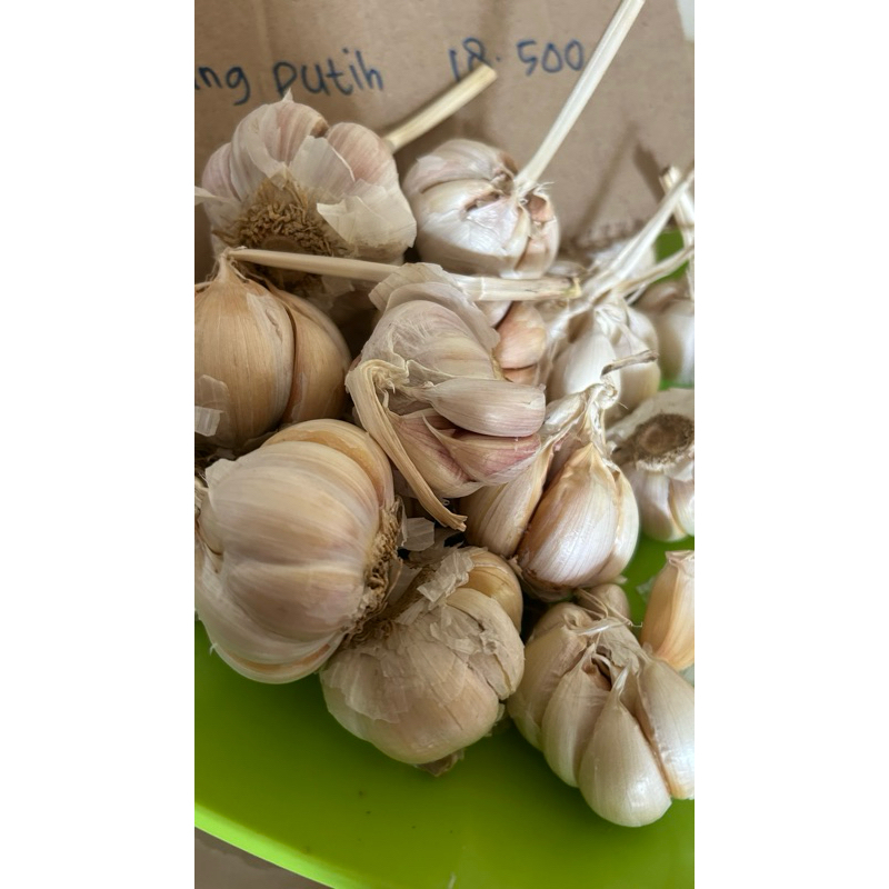 

bawang putih 1/2kg
