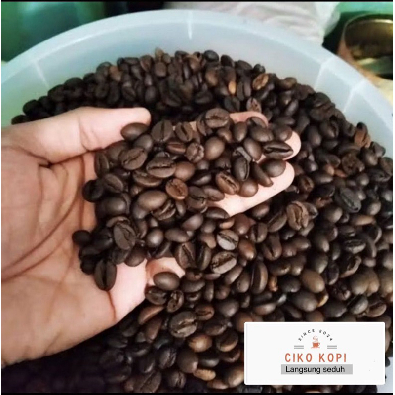 

Biji Kopi Robusta Sangrai Khas Muria Medium Dark (50 gram)