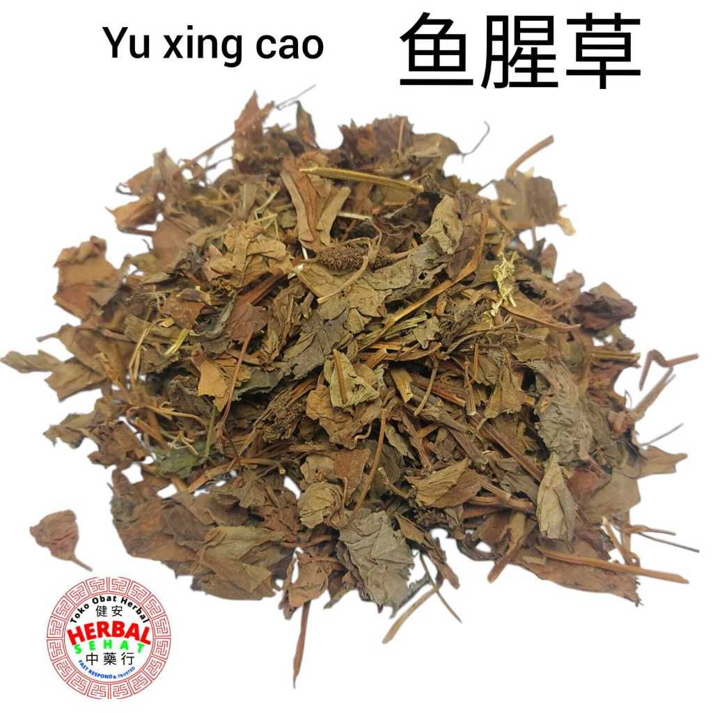 

Yu Xing Cao 300 Gram Fo Er Cao Heartleaf Houttuynia Herb