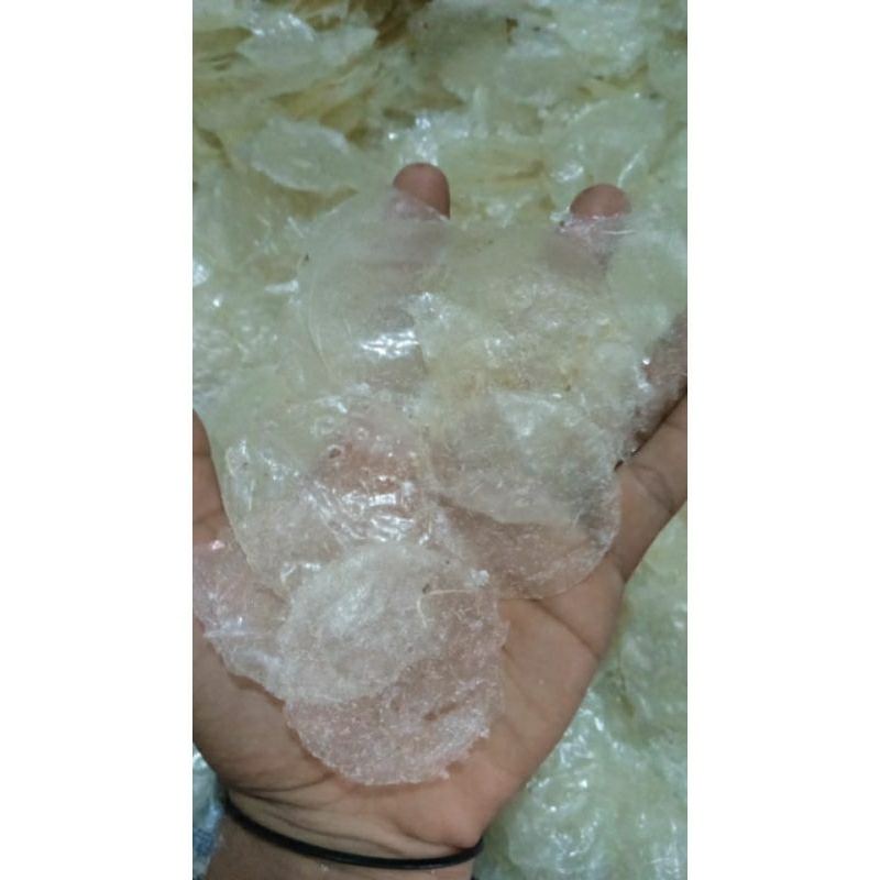 

keripik kaca mentah