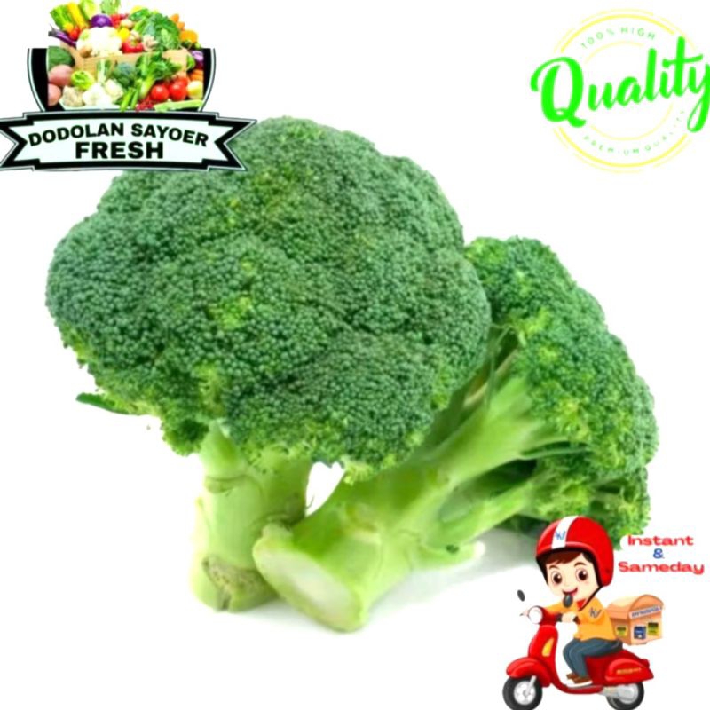 

Brokoli hijau/sayur brokoli fresh pilihan