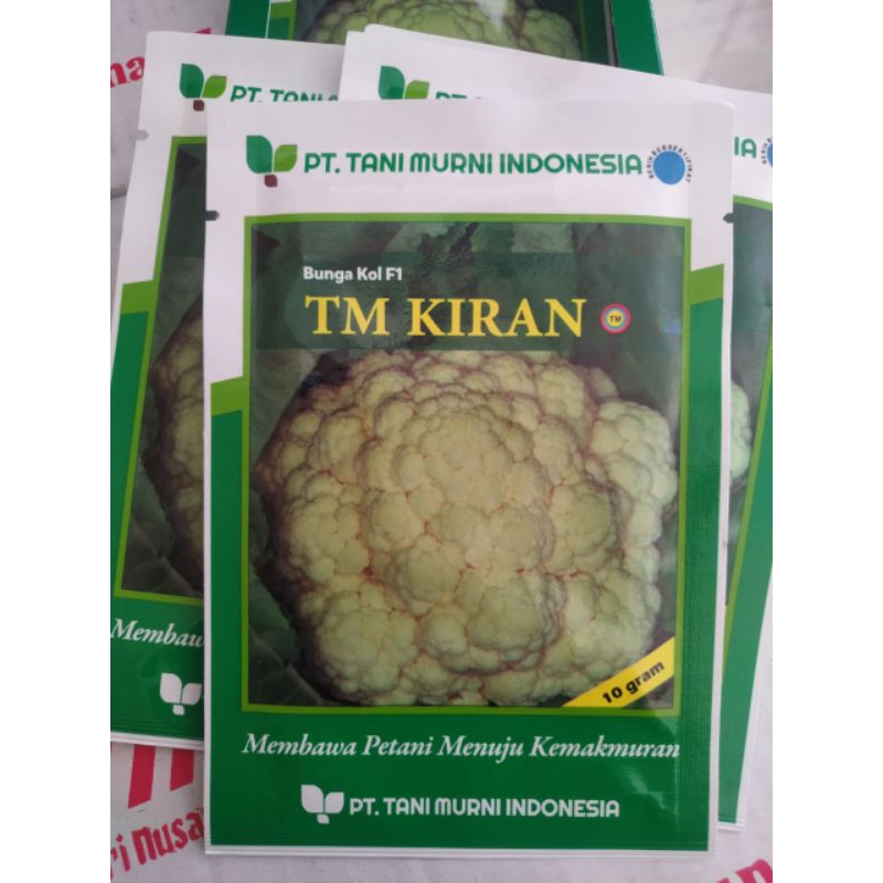 bibit bunga kol TM kiran F1 10grm  bibit brokoli TM KIRAN