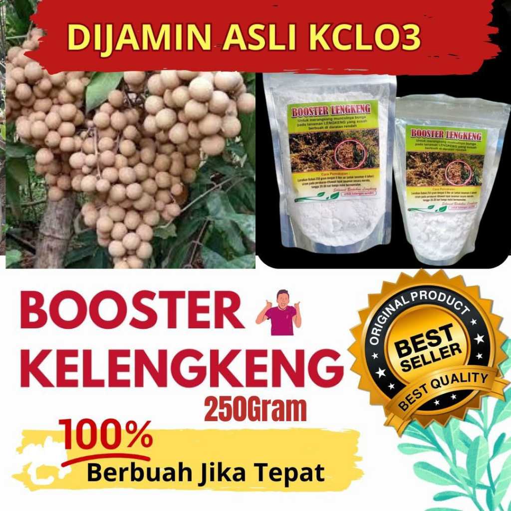 JAMIN ASLI.. Booster kelengkeng kclo3 murni