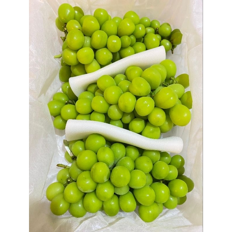 

anggur manis//anggur jumbo//anggur ijo 500gr