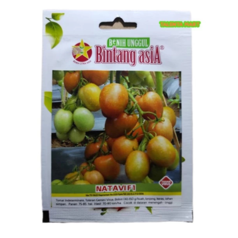 BENIH TOMAT NATAVI F1 BINTANG ASIA EXP 2025