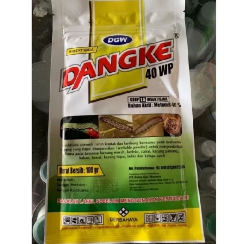 DANGKE 100gram