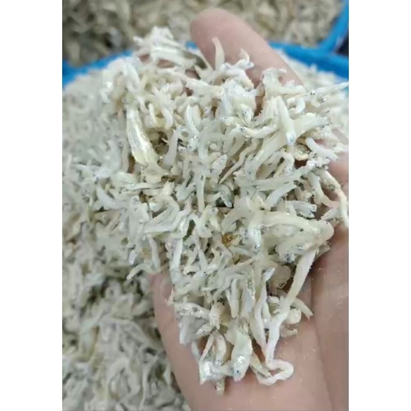 

Teri Nasi