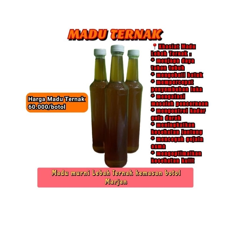 

Madu Ternak