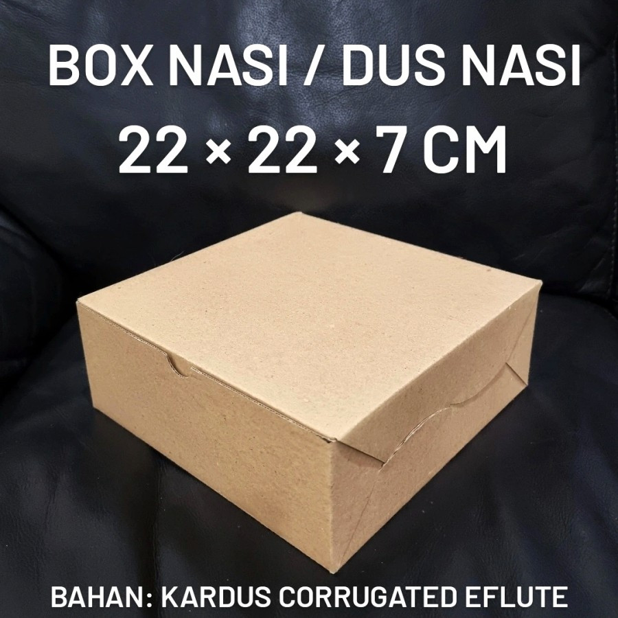 

10 Pcs Box Nasi Dus Catering Kotak Roti Cemilan Takeaway Ukuran 22 x 22 x 7cm