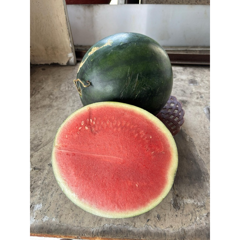 

HAPPYFRESHFRUIT Semangka Merah Segar Premium Manis - 1 Pcs