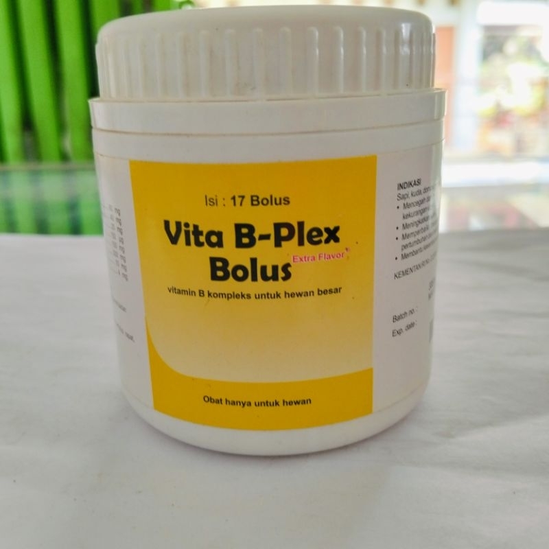 VITA B PLEX BOLUS ISI 17 BOLUS