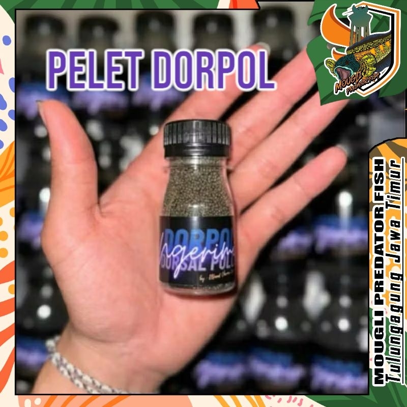 (mouglifish) Pelet Dorpol Channa Blue Kecil (By Elfaad Channa Legion) for auranti,andrao,pulchra,ste