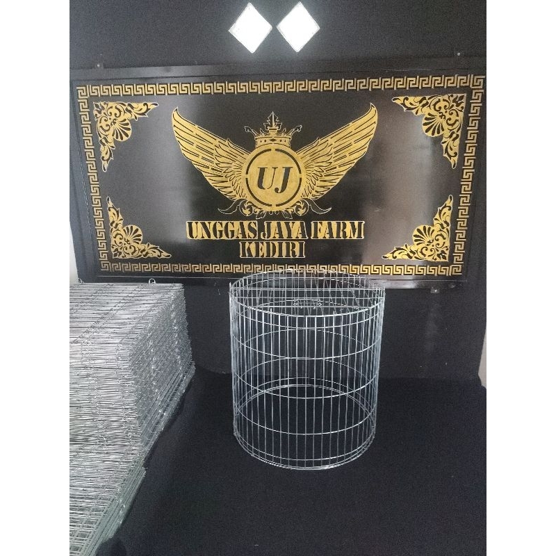 KURUNGAN BUNDAR TENGGARAN / UMBARAN AYAM JAGO BANGKOK