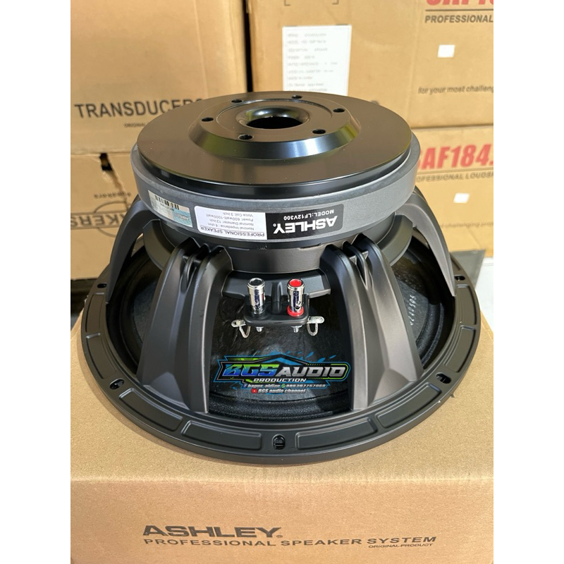 speaker 12 inch ashley lf12v300