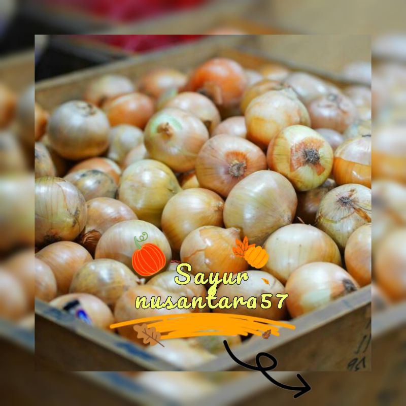 

bawang Bombay 250-500gr